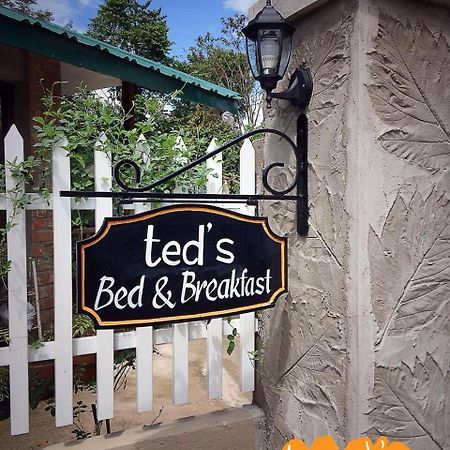 Ted'S Bed And Breakfast Santa Cruz  Экстерьер фото